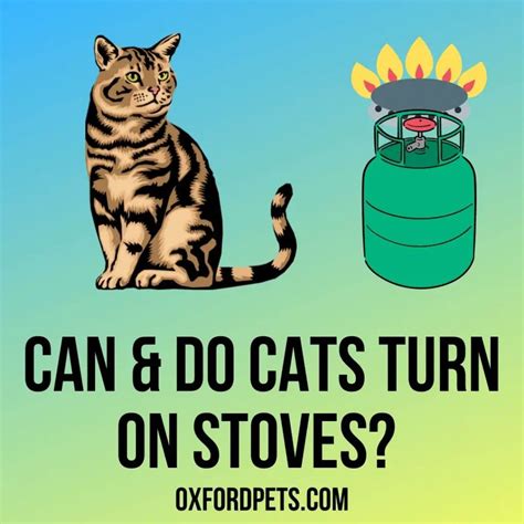 cats and gas stoves